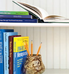 Image of books on a shelf.