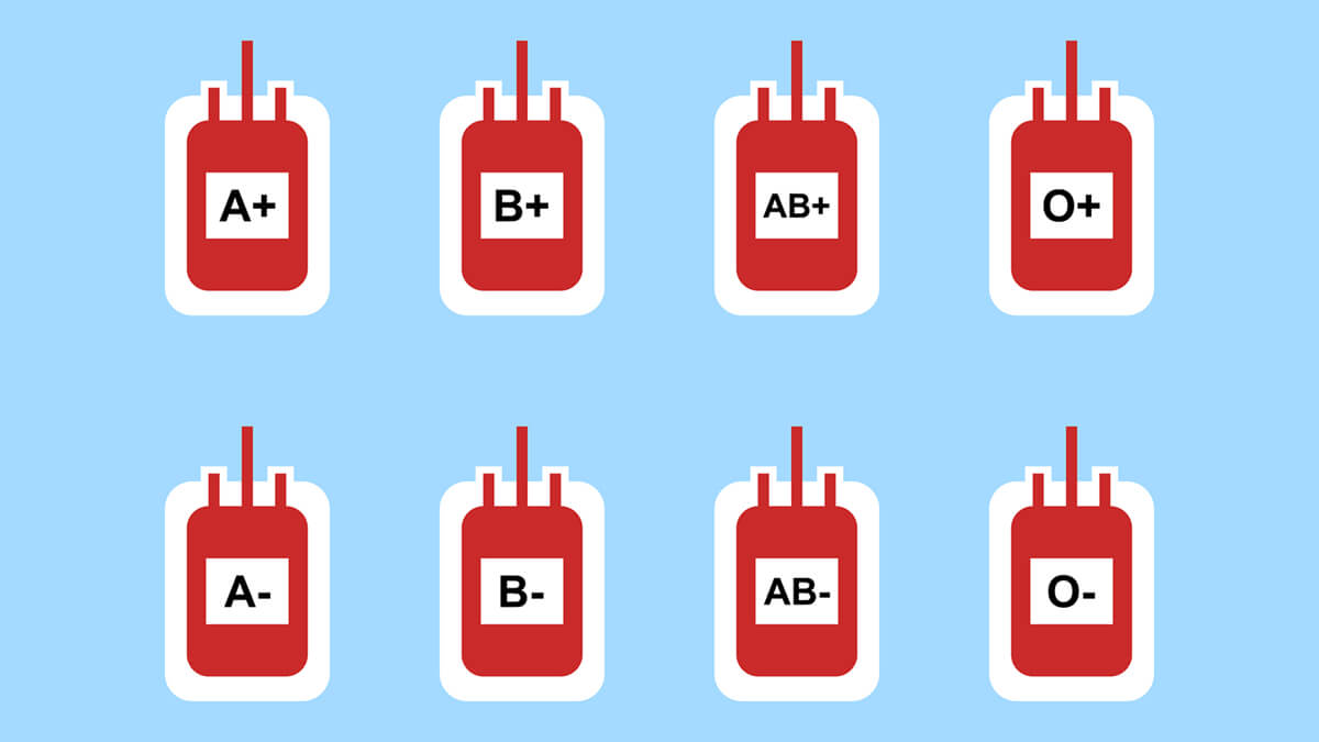 What Your Blood Type Says About You: A Fun, Educational Look at