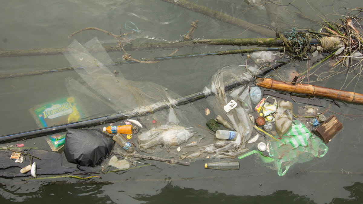 Are Toxins in Plastics a Public Health Threat?