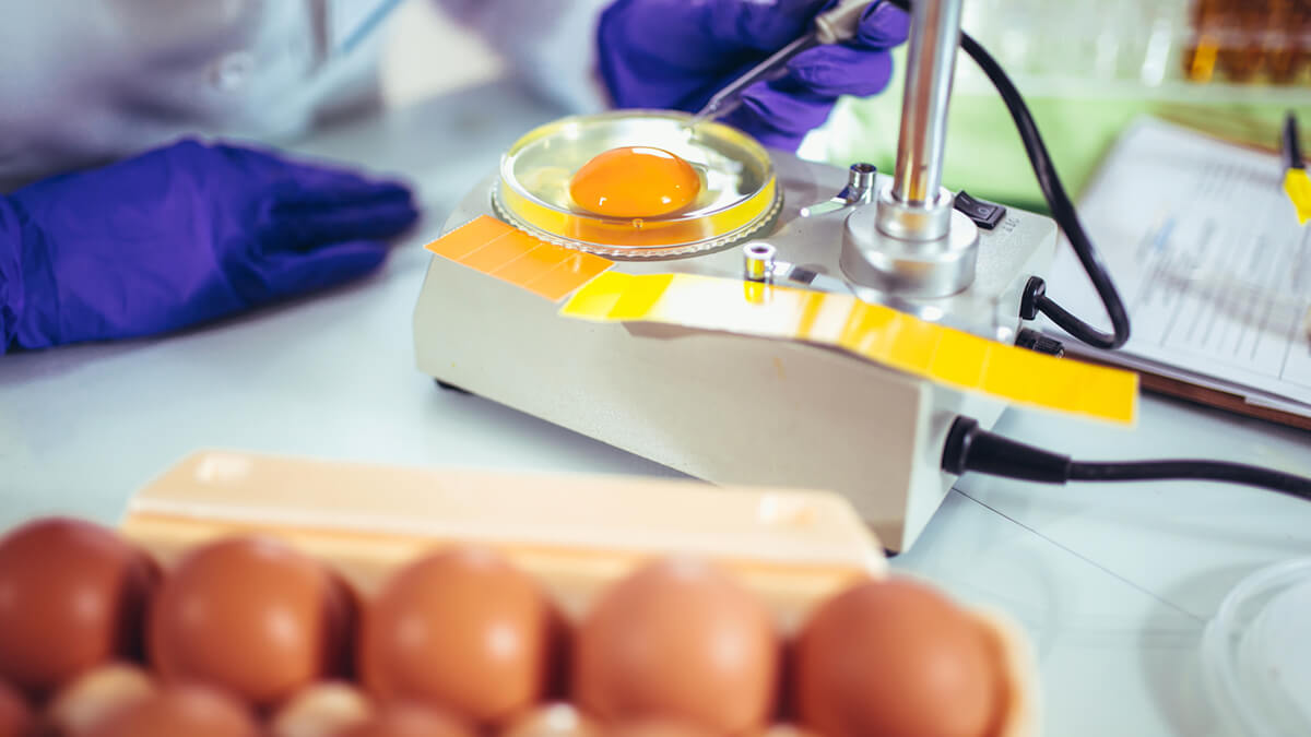 How Public Health Professionals Can Improve Food Safety