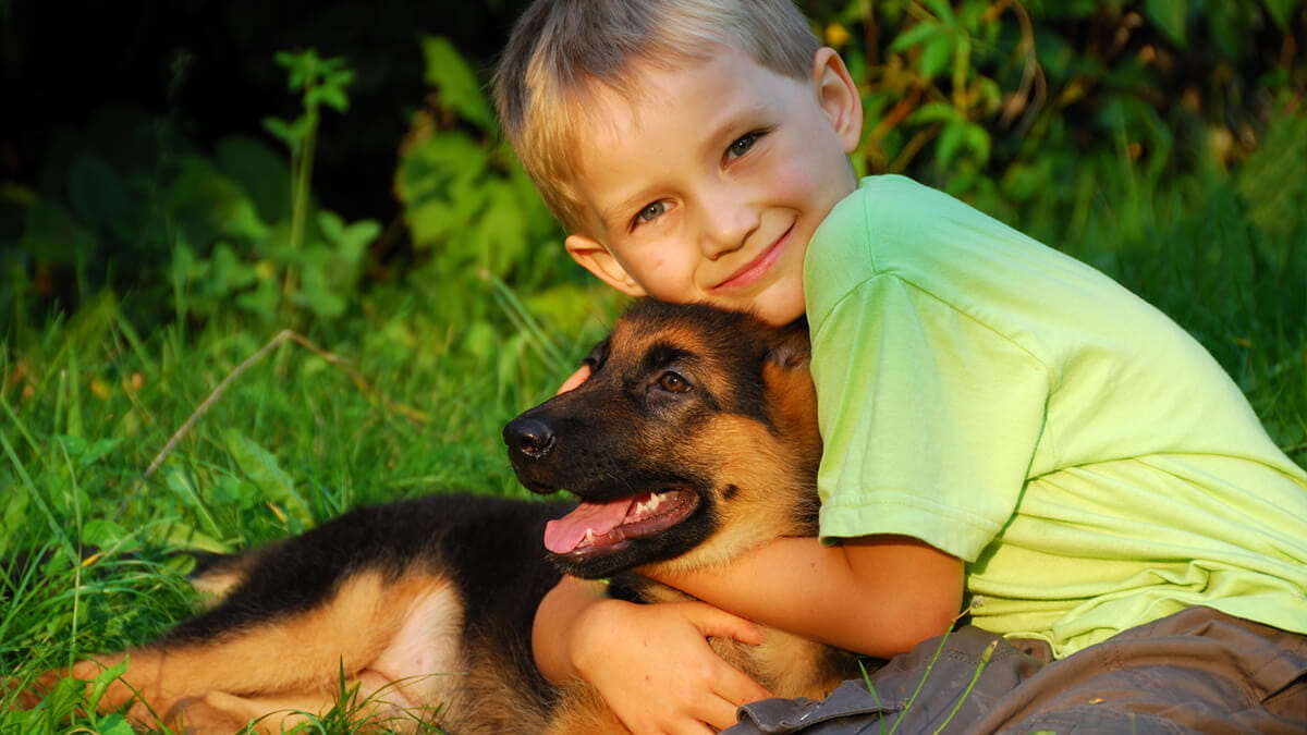 The Role Dogs Play in Childhood Development