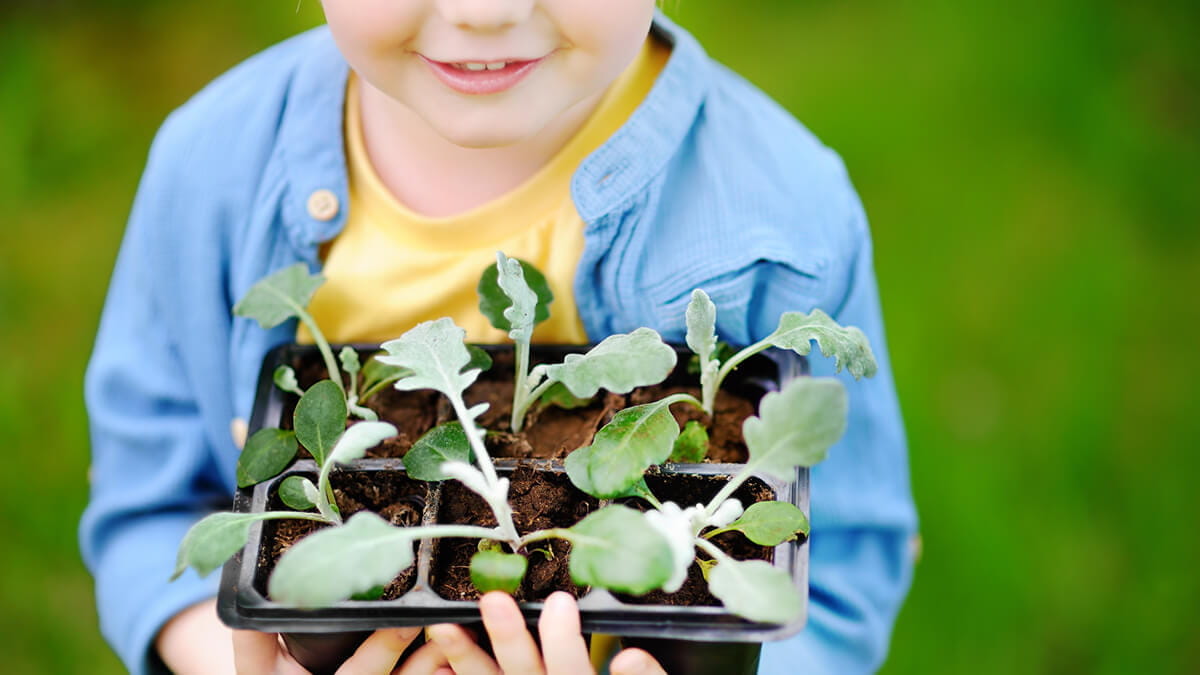 Teach Children to Grow Food by Starting a Family Garden