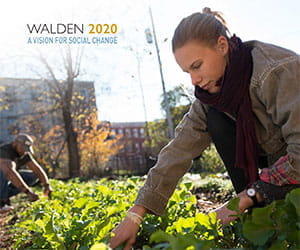 walden-university-2017-social-change-report-thumbnail-300x-250